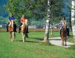 c_tiroler_zugspitz_arena_reiten16.jpg c_tiroler_zugspitz_arena_reiten16.jpg